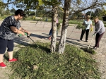 Субботник